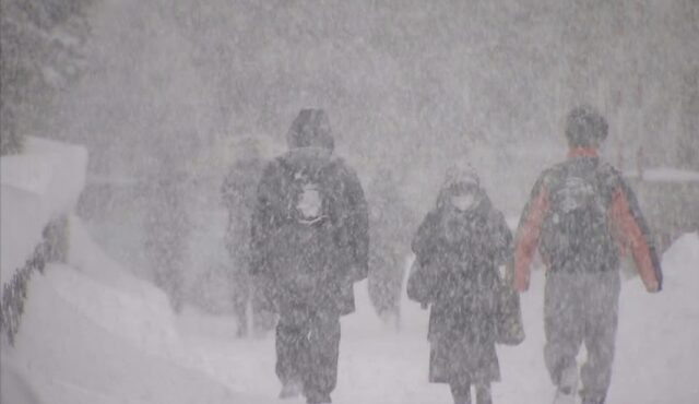 根本的な雪対策